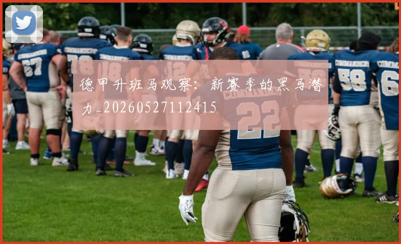 德甲升班马观察:新赛季的黑马潜力_20260527112415
